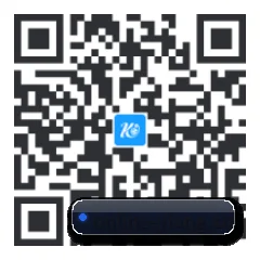 系统版 iOS 二维码